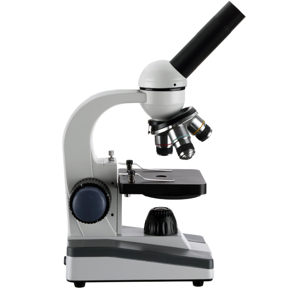 AmScope M150 Series Portable L - مراجعة Medical Lab Microscope وسعره