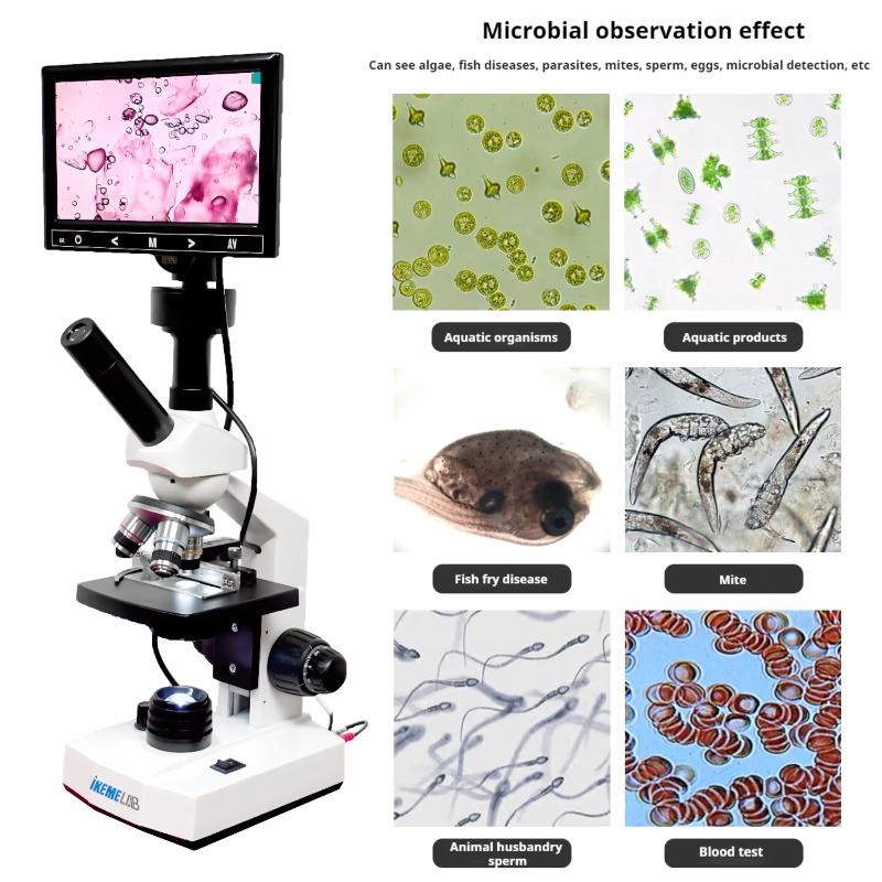 HD Screen Digital Microscope B - مراجعة Medical Lab Microscope وسعره
