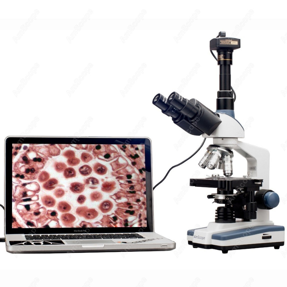 Lab Compound Microscope--AmSco - مراجعة Medical Lab Microscope وسعره