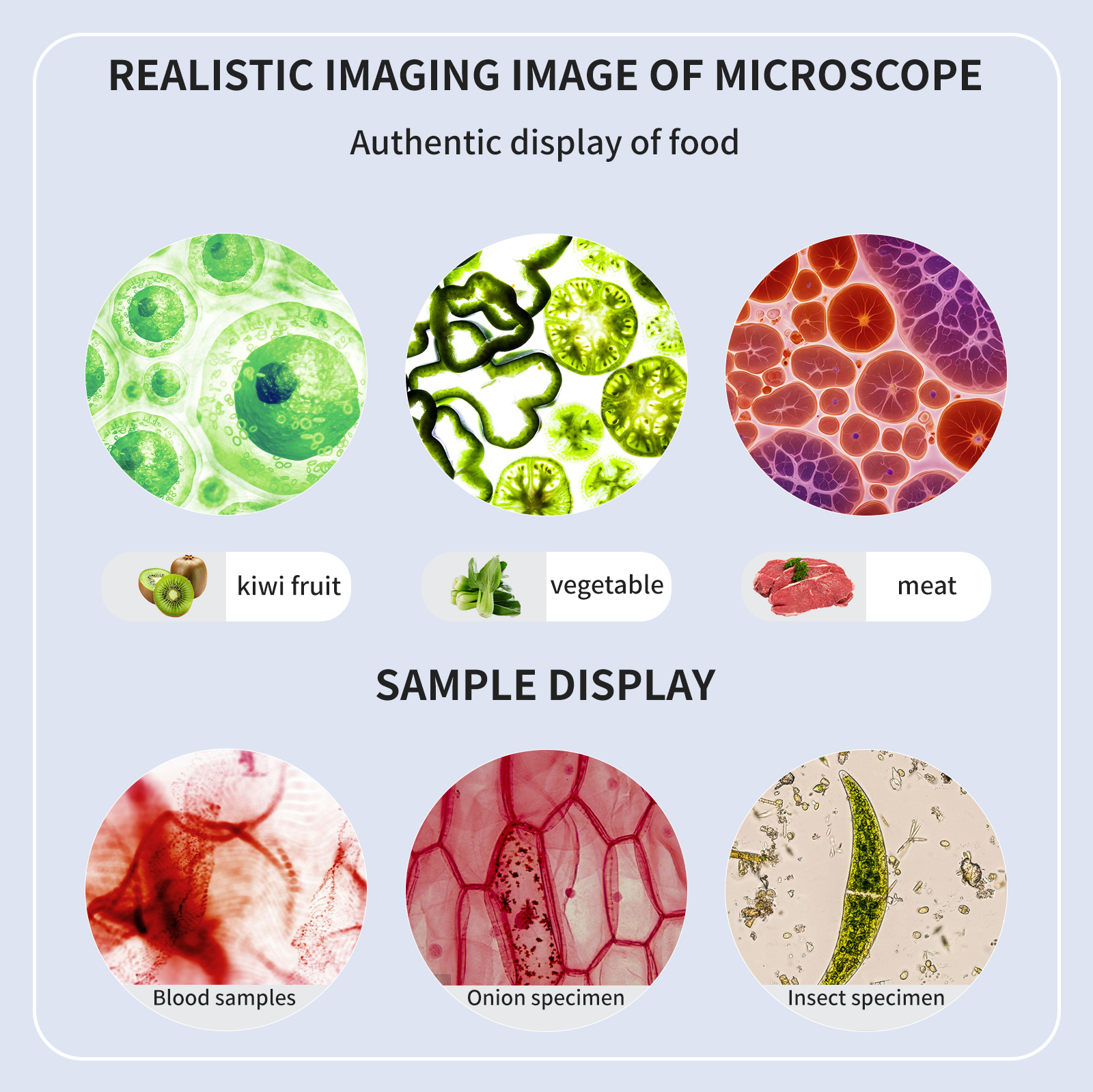 High definition, high magnific - مراجعة Medical Lab Microscope وسعره