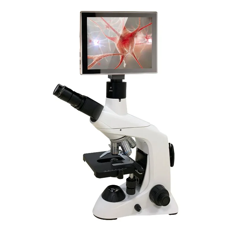 2026 New Stainless Steel Medic - مراجعة Medical Lab Microscope وسعره