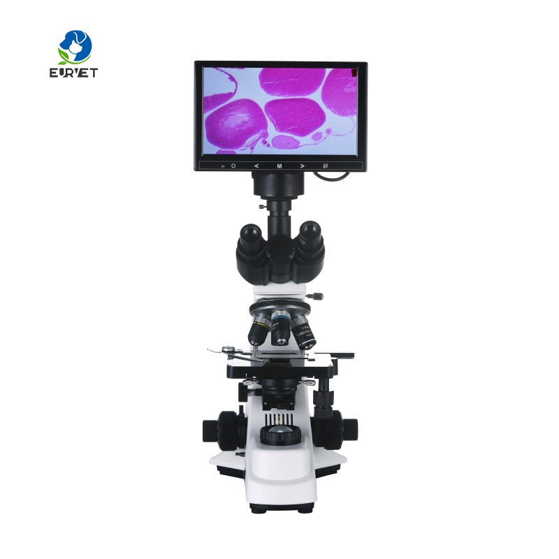 2026 Medical Lab Digital Biolo - مراجعة Medical Lab Microscope وسعره