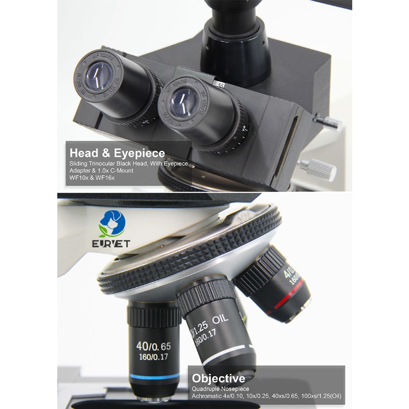 2026 Medical Lab Digital Biolo - مراجعة Medical Lab Microscope وسعره